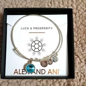 Alex & Ani Bracelet